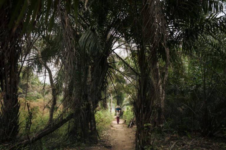 Etude Optima Malnutrition RDC ALIMA