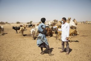 ALIMA Mauritanie Bassikounou COVID 19 2022 Seyba Keita 15